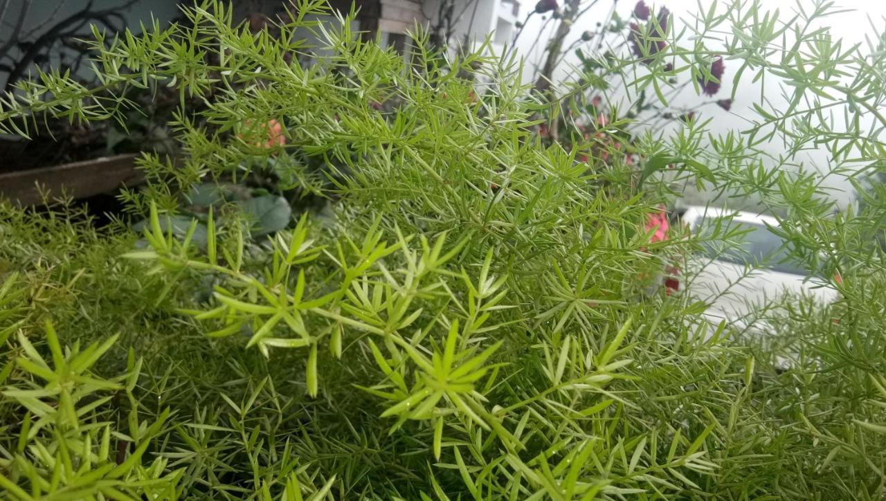 Ezhil Residency Hotel Kodaikanal Kültér fotó